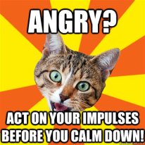 Angry-Act-on-your-impulses